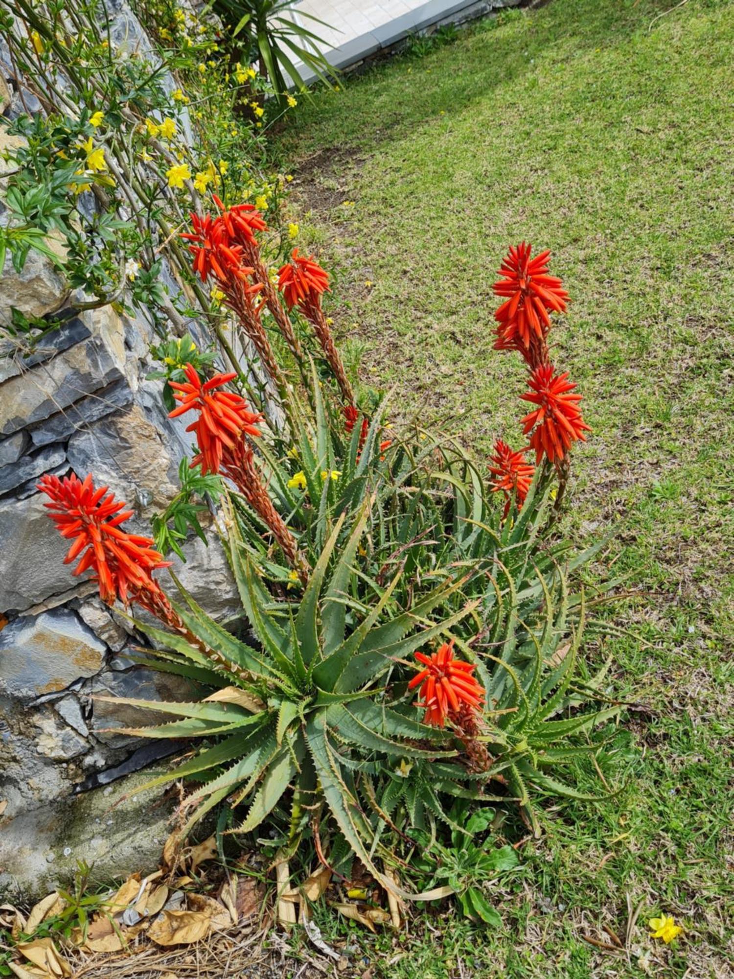 La Casa Di Sassolino